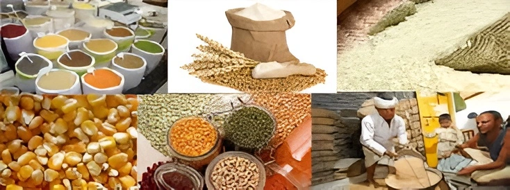 कैसे AePDS बिहार पोर्टल राशन आपूर्ति का निष्पक्ष वितरण सुनिश्चित करता है